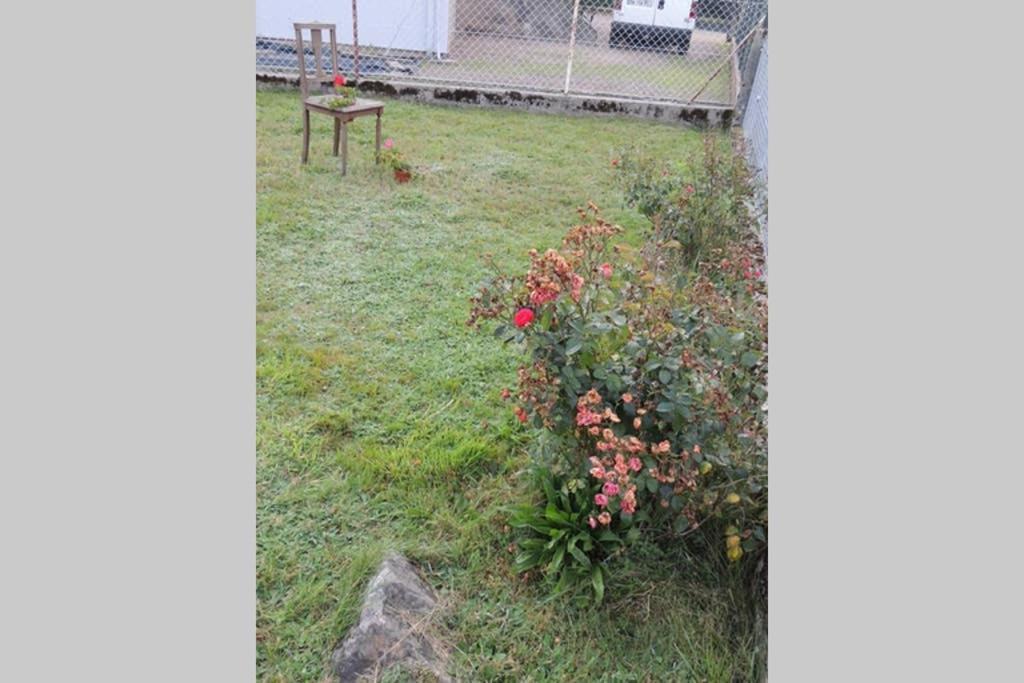 Maison Independ. 6 Personnes A 10 Mn De Gerardmer Granges-sur-Vologne Eksteriør billede