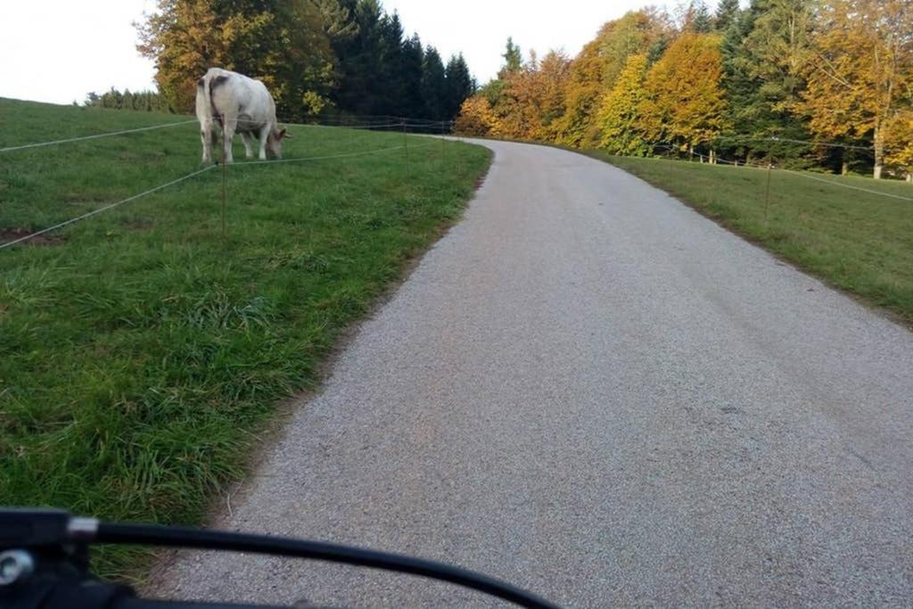 Maison Independ. 6 Personnes A 10 Mn De Gerardmer Granges-sur-Vologne Eksteriør billede